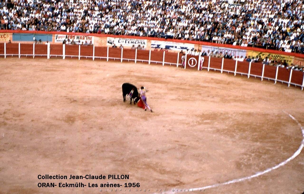 ORAN ARENES9 CORRIDA-MISE-A-MORT-56.jpg